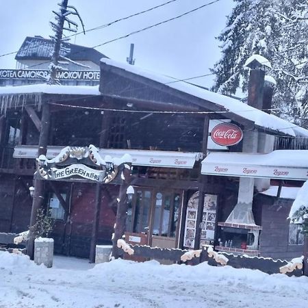 The Green King Borovets Luaran gambar